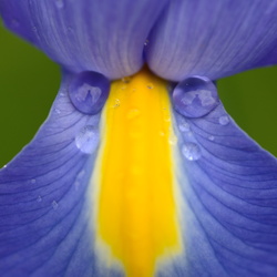 2014-04-27-Chez maman