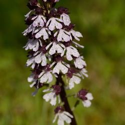 Chez maman 18/05/2014