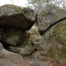 2015-03-22 - Ballade En Foret