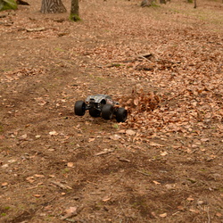 Ballades à Barbizon Février 2016