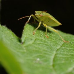 Mon anniversaire et autres photos chez Maman
