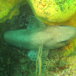 Week-end en Bretagne 2015 avec Jean-Noel et Emilie