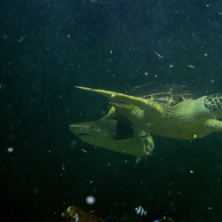 Week-end en Bretagne 2015 avec Jean-Noel et Emilie