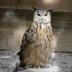 Semaine a Rocamadour