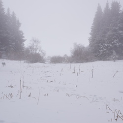 Semaine au Mont-Dore Hiver 2017