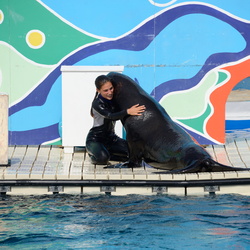 Marineland Juin 2014